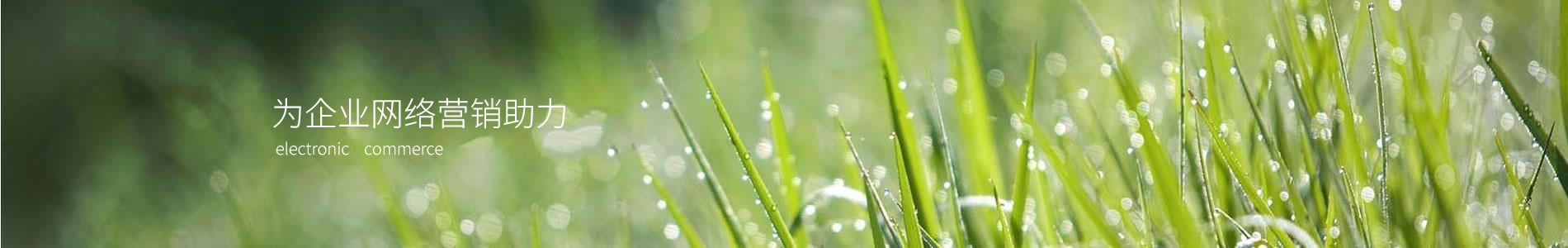 Զظó޹˾
